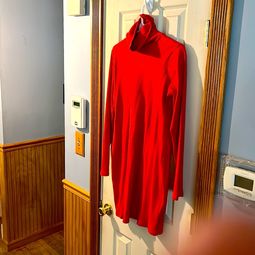 Red long (to the knee) ribbed cotton dress (wild fable brand from Target)